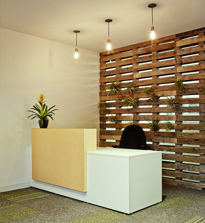reception desk construction with air plants | Rossi Builders Photos