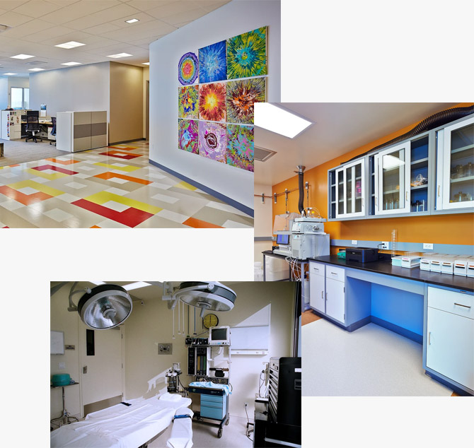 collage of healthcare and laboratory construction | Rossi Builders Photos